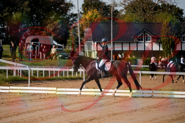 2026_10_03_Siefer-Hof_113244_Z63_19054161 | Professionelle Reitsport-, Turnier- und Eventfotografie von Robert Broda. Galerien mit ausgewählten und bearbeiteten Bildern direkt online ansehen und bestellen.