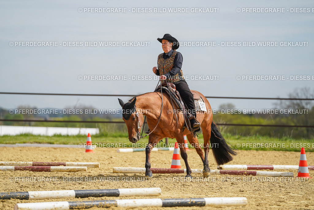 DSC04057 | Pferdegrafie