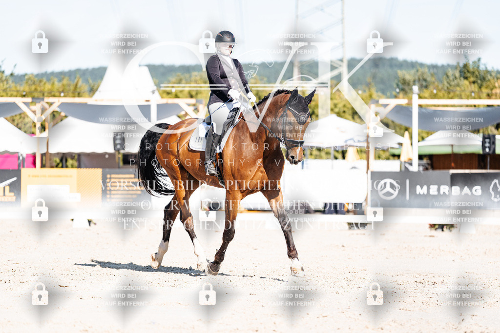 CK907690 | Turnierfotografie Pferdefotografie Trier Rheinland-Pfalz Pferdesport Reitsport Tierfotografie Sportfotografie Pferdevideo Pferdevideografie Equestrianvideography equestrianphotography  - Realisiert mit Pictrs.com