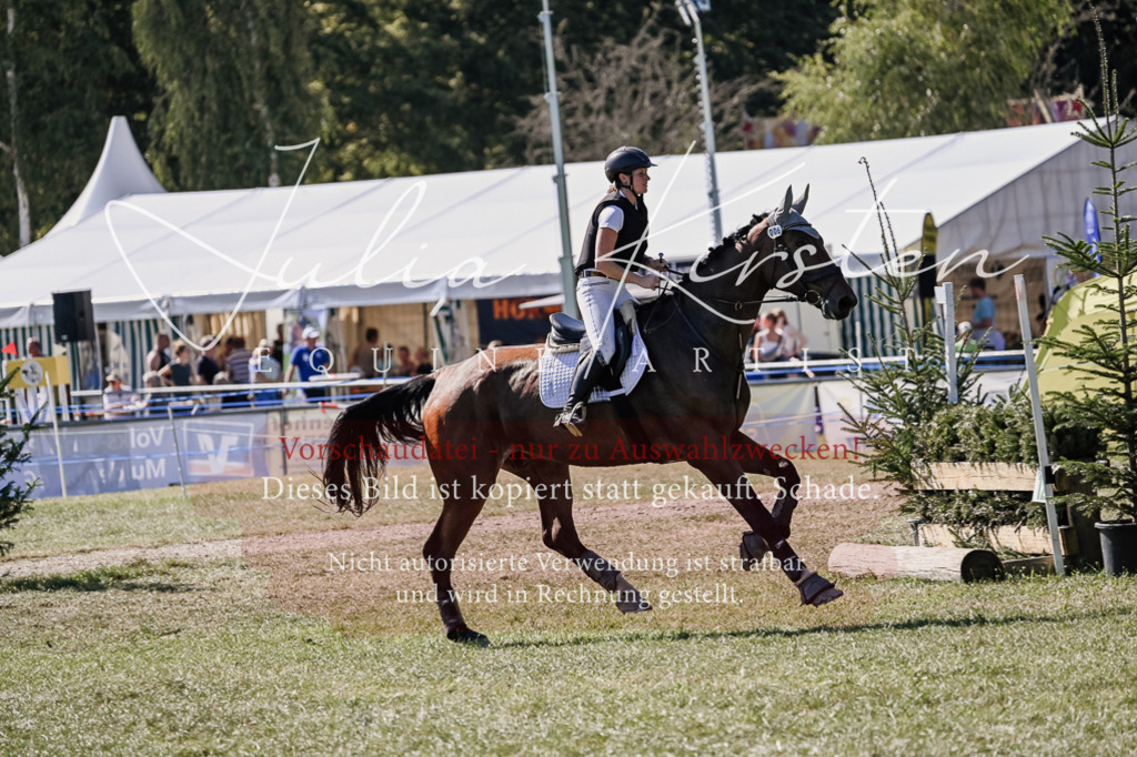 DSC_2694 | Pferde- und Turnierfotografie in Westsachsen. Pferdeportraits, Auftragszeichnungen und intuitive Kunst.