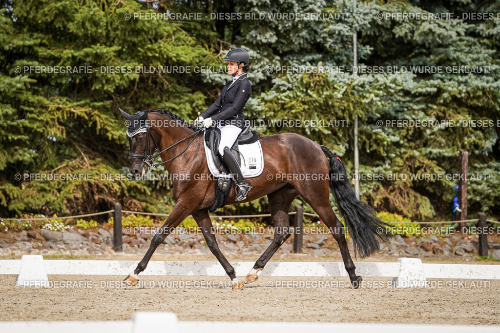 DSC06301 | Pferdegrafie