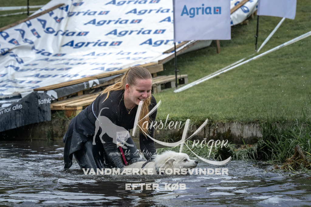 1526_ZZ94902 | kk-dogfotos