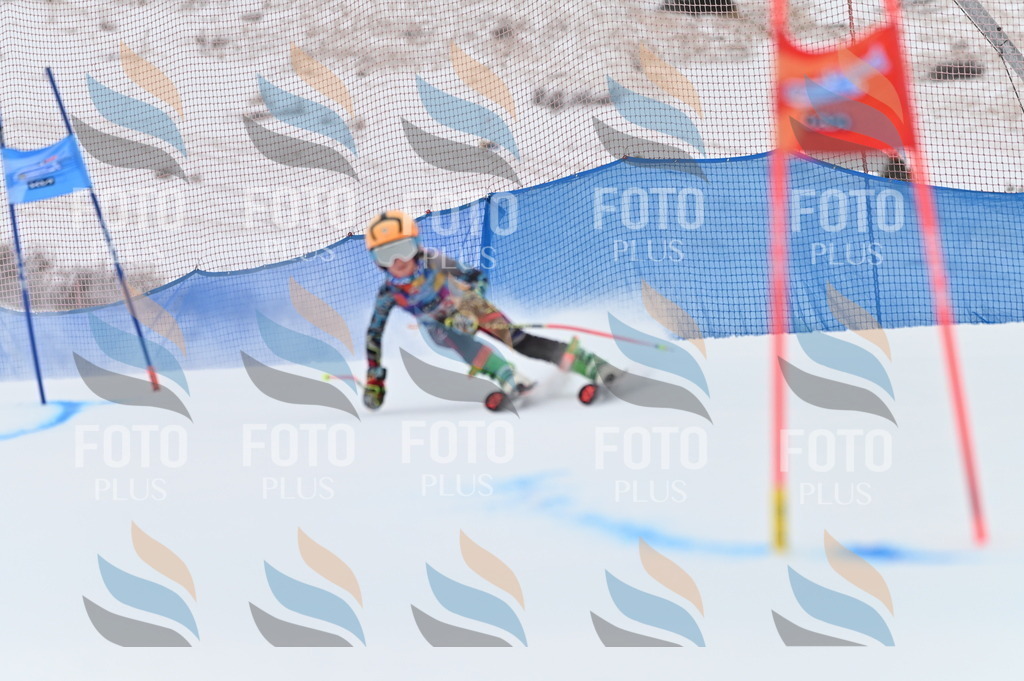 BGV_9796 | holidayphoto