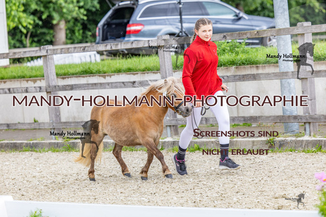 25-6 BSS H Shettys (816) | mandyhollmannphotographie