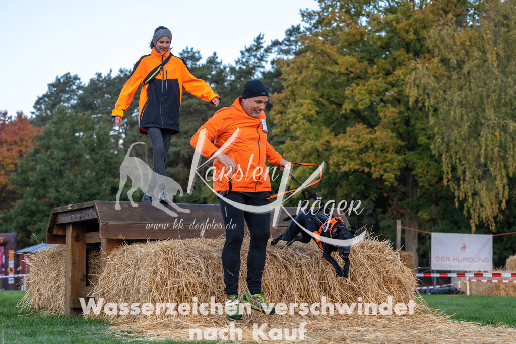 0816_ZZ90092 | kk-dogfotos