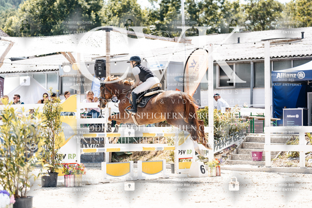 CK907664 | Turnierfotografie Pferdefotografie Trier Rheinland-Pfalz Pferdesport Reitsport Tierfotografie Sportfotografie Pferdevideo Pferdevideografie Equestrianvideography equestrianphotography  - Realisiert mit Pictrs.com