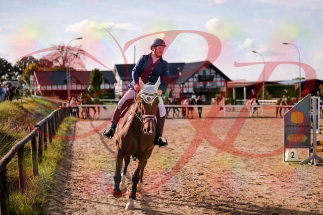 2026_10_03_Siefer-Hof_160605_Z81_87362802 | Professionelle Reitsport-, Turnier- und Eventfotografie von Robert Broda. Galerien mit ausgewählten und bearbeiteten Bildern direkt online ansehen und bestellen.