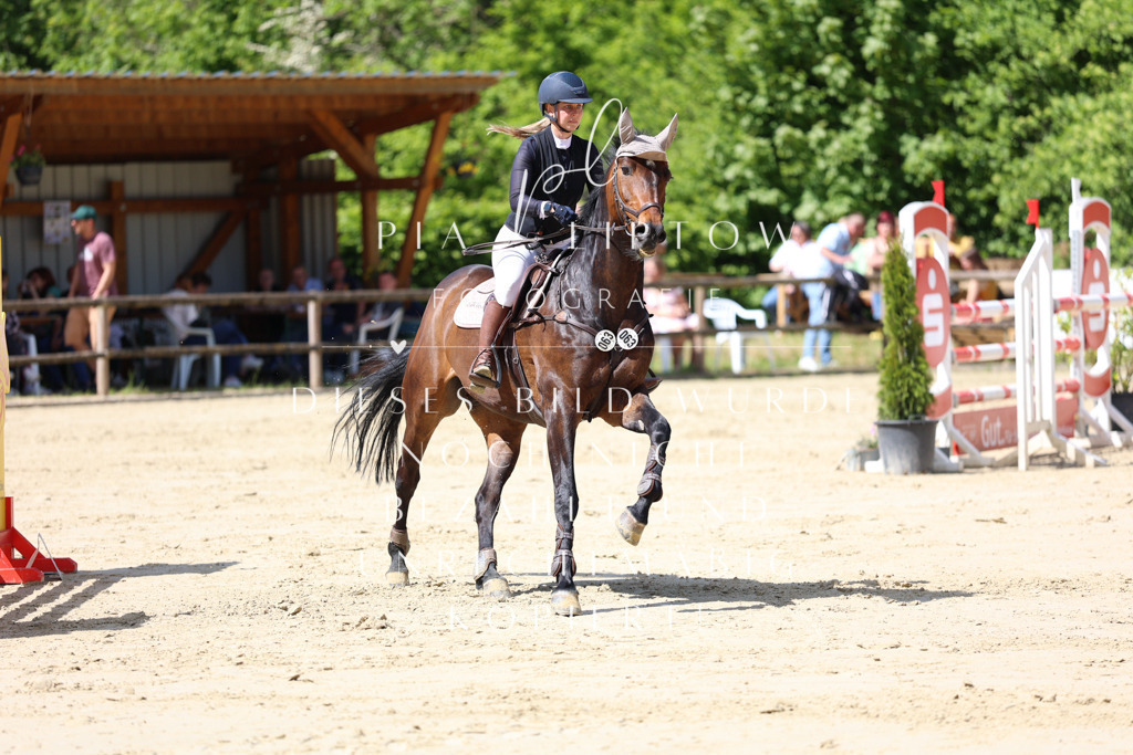 IMGS8878 | pl-fotografie