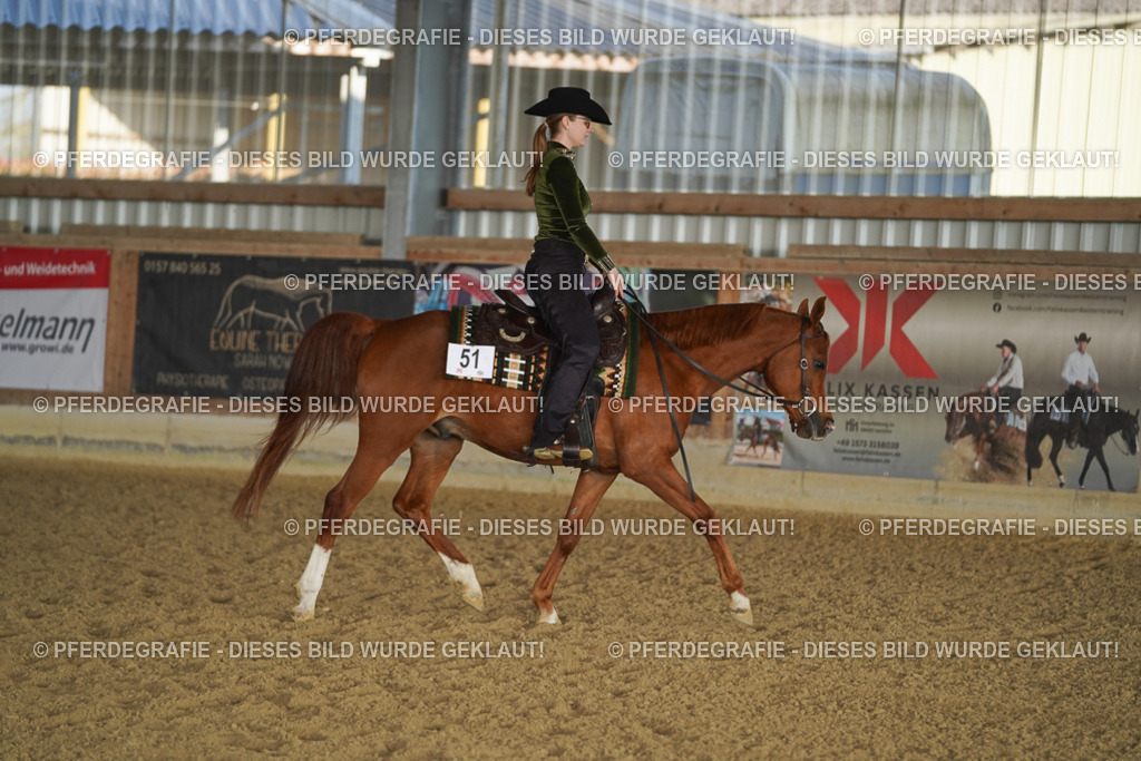 DSC08507 | Pferdegrafie