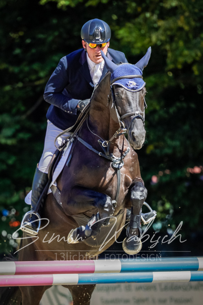 20250906-_3LI3951 | Tierfotografie Pferde, Hunde, Katzen, Haustiere.
Turnierfotografie Reitturniere, Reiten, Springreiten, Dressur in Hanau, dem Main-Kinzig-Kreis und dem Rhein-Main- Gebiet um Frankfurt