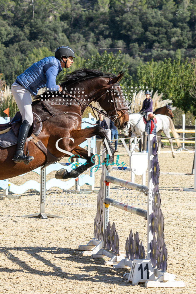 IMG_4290 | s-jay-photography - Realisiert mit Pictrs.com