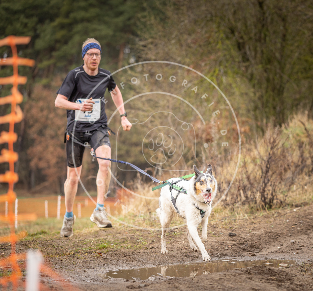 DV3A0263 | Hundefotografie, Tierfotograf, Pfotenfotografie, Fotoshooting Hund, Hunde Portrait, Hundesport, Hundeportraits, Heideshooting, Hunde, Sportfotograf, Hundefotograf, Turnierhundsport, THS,  - Realisiert mit Pictrs.com