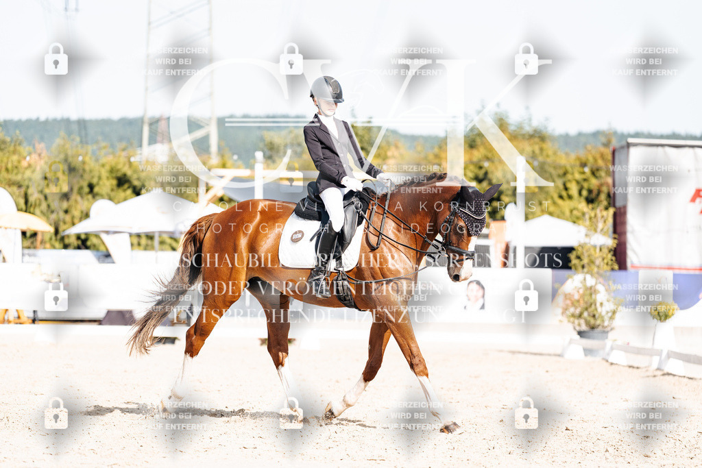 CK905594 | Turnierfotografie Pferdefotografie Trier Rheinland-Pfalz Pferdesport Reitsport Tierfotografie Sportfotografie Pferdevideo Pferdevideografie Equestrianvideography equestrianphotography  - Realisiert mit Pictrs.com