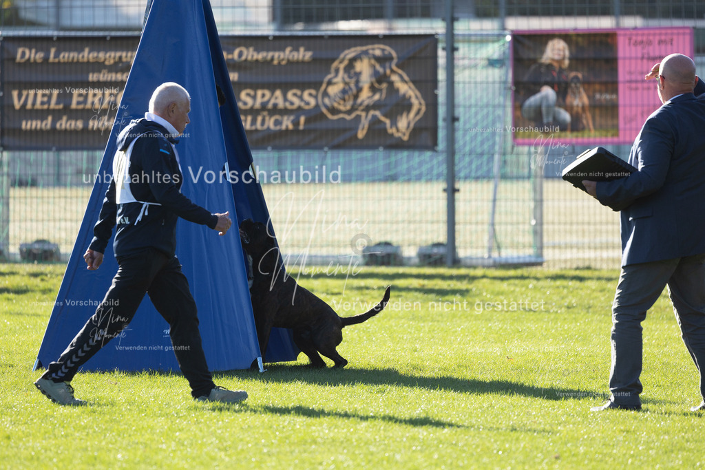 _16A4883 | Einzigartige Fotos von Hunden & Menschen –Actionfotos, Portraits, Vereinsaufnahmen & Paarshootings – authentisch, lebendig & mit Herz.