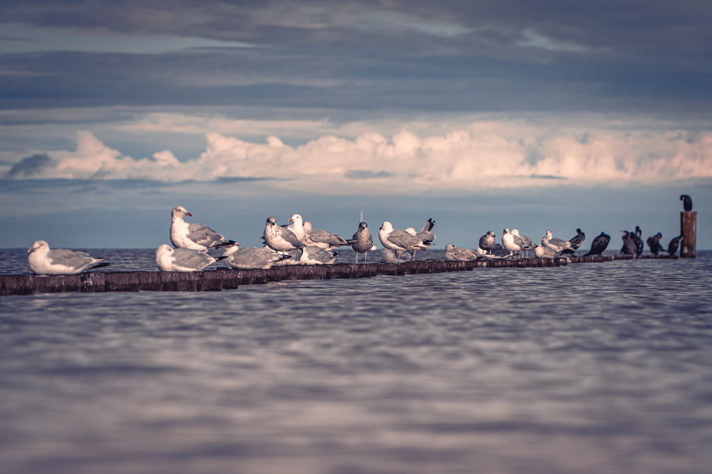 DSC01778 | frl-wunderlich - Realisiert mit Pictrs.com