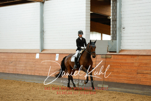 _62_6048 | Turniersportfotografie; Pferdefotografie; Dressurfotografie