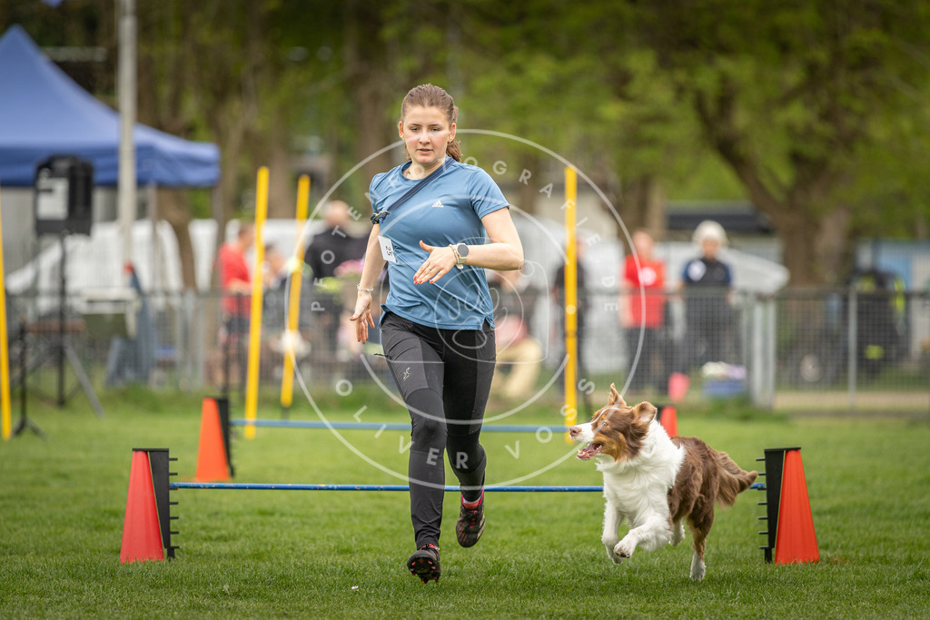 Pfotenfotografie_DV3A0902 | Hundefotografie, Tierfotograf, Pfotenfotografie, Fotoshooting Hund, Hunde Portrait, Hundesport, Hundeportraits, Heideshooting, Hunde, Sportfotograf, Hundefotograf, Turnierhundsport, THS,  - Realisiert mit Pictrs.com