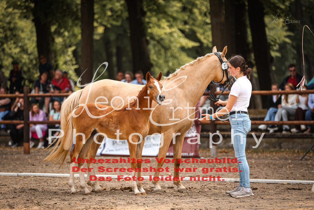 SaFohlen00262 | Leoni Ertmer Photography - Realisiert mit Pictrs.com
