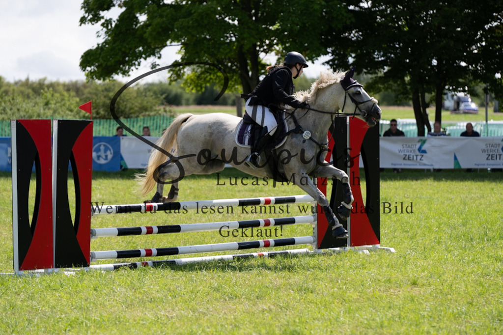 A7V04232 | Pferdefotograf