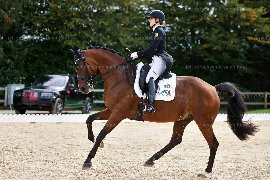 11-003-Dressur S___-StoibPH-1073 | working equitationturnier fotograf videograf stoibphotography marixx film working equitation deutschland reitsport turnierfotografie eventfotografie equestrian events
