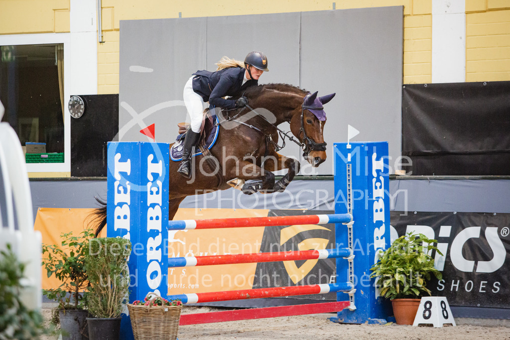 221112_Warstein_L-Spr-270 | Deine schönsten Turniermomente als professionelle Fotos! Entdecke hochwertige Pferdesport-Fotografie im Online-Shop. Jetzt Fotos finden & bestellen!