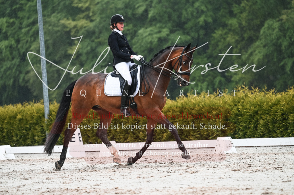 DSC_4572 | Pferde- und Turnierfotografie in Westsachsen. Pferdeportraits, Auftragszeichnungen und intuitive Kunst.