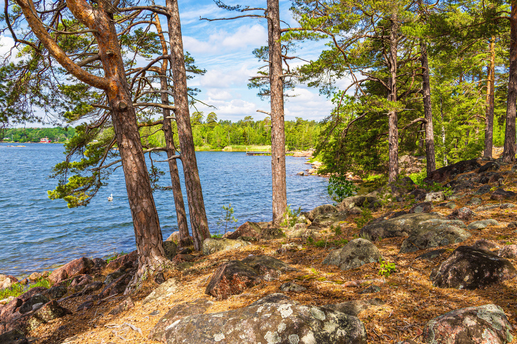 Ostseeküste mit Felsen und Bäumen bei Figeholm in Schweden | Ostseeküste mit Felsen und Bäumen bei Figeholm in Schweden.