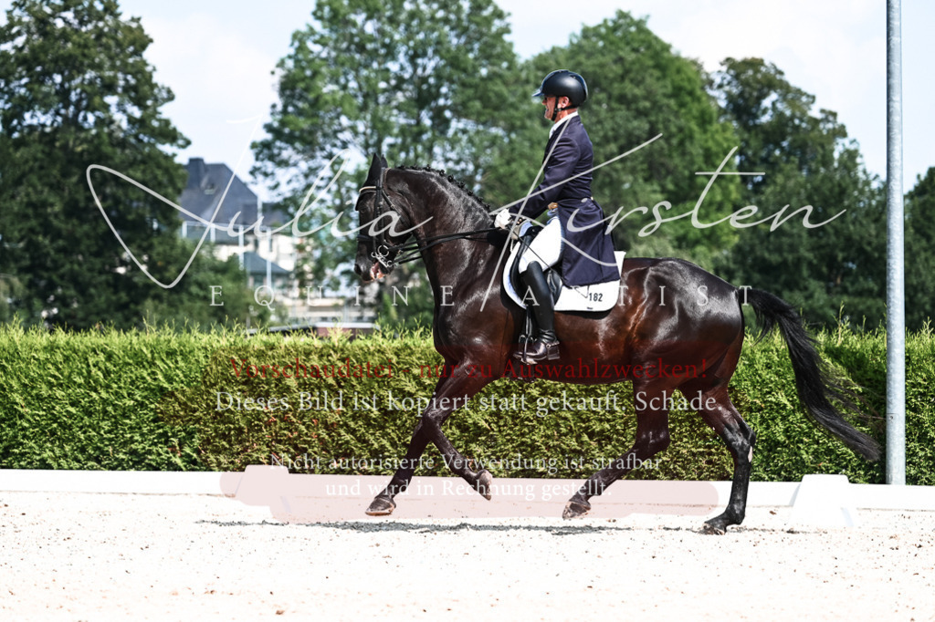 DSC_3032 | Pferde- und Turnierfotografie in Westsachsen. Pferdeportraits, Auftragszeichnungen und intuitive Kunst.