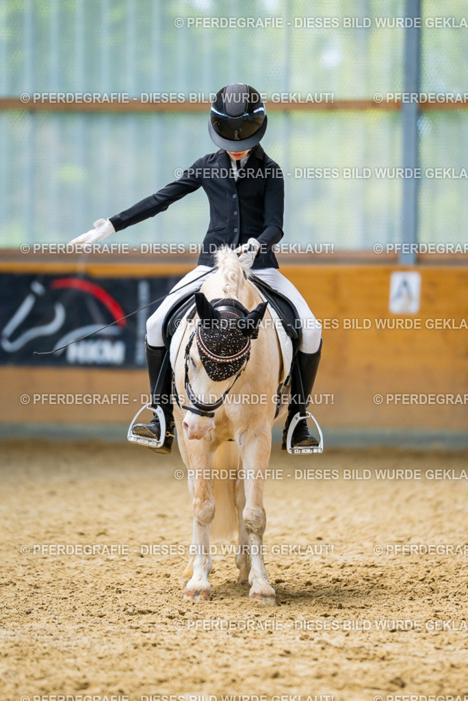 DSC09177 | Pferdegrafie