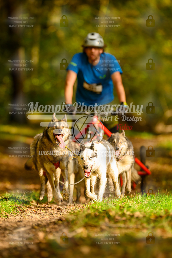 MompixPhotography_20TSB_E1_Kids-12 | PayLife