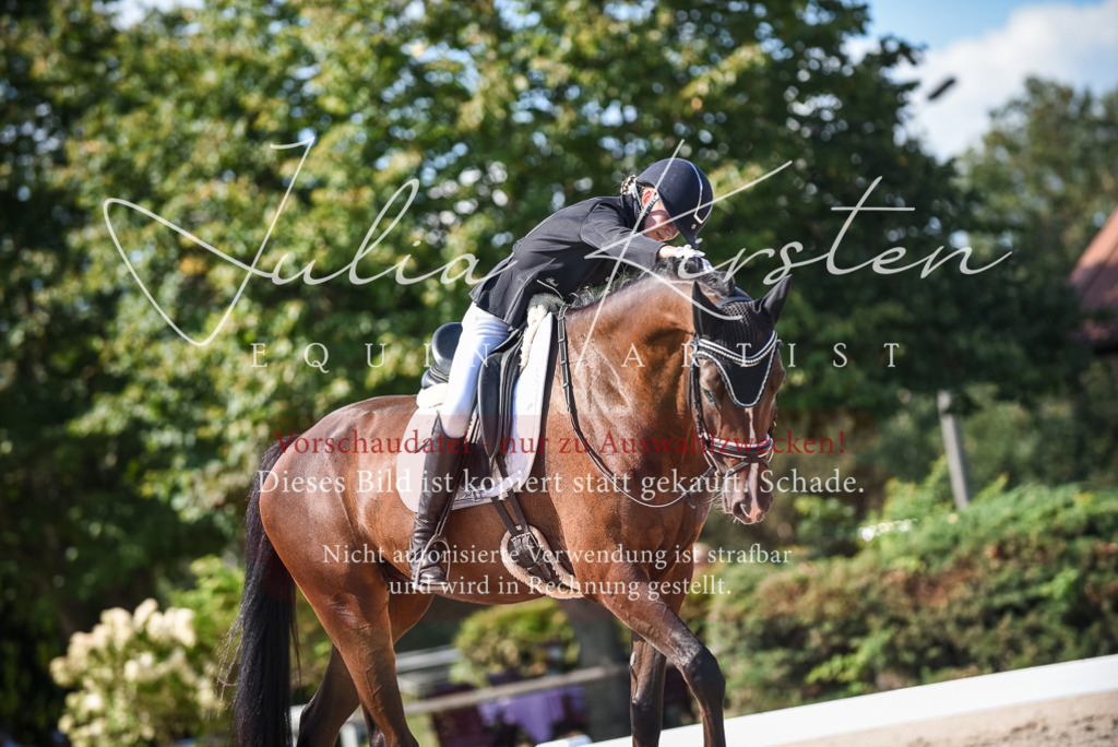 DSC_9619 | Pferde- und Turnierfotografie in Westsachsen. Pferdeportraits, Auftragszeichnungen und intuitive Kunst.
