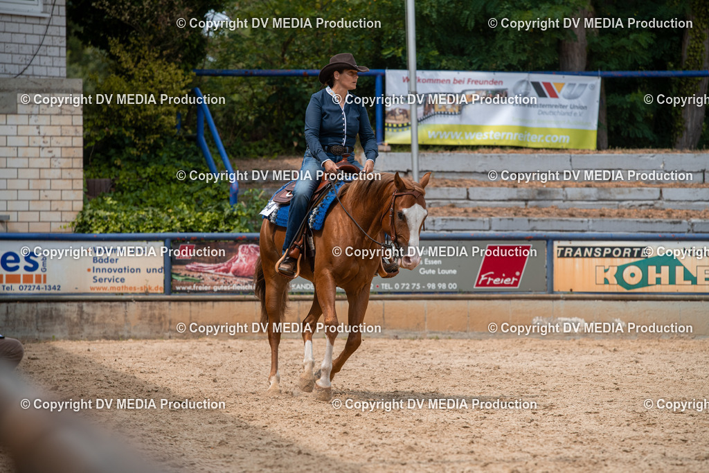 EWP_6202 | dv-media-shop - Realisiert mit Pictrs.com