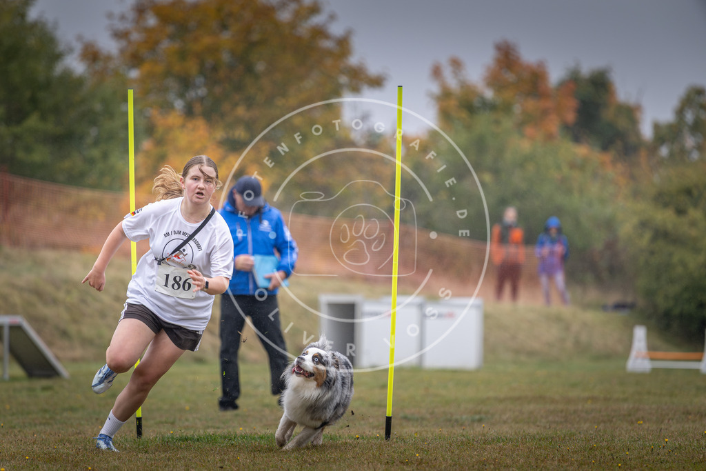 Pfotenfotografie_DV3A0123 | Hundefotografie, Tierfotograf, Pfotenfotografie, Fotoshooting Hund, Hunde Portrait, Hundesport, Hundeportraits, Heideshooting, Hunde, Sportfotograf, Hundefotograf, Turnierhundsport, THS,  - Realisiert mit Pictrs.com