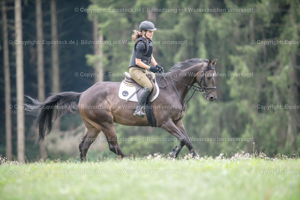 20250726_Vielseitigkeitslehrgang-Marbach_0346 | Foto: Thomas Hartig