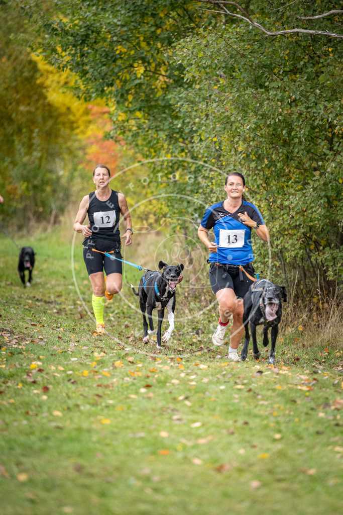 Pfotenfotografie_DV3A1810 | Hundefotografie, Tierfotograf, Pfotenfotografie, Fotoshooting Hund, Hunde Portrait, Hundesport, Hundeportraits, Heideshooting, Hunde, Sportfotograf, Hundefotograf, Turnierhundsport, THS,  - Realisiert mit Pictrs.com