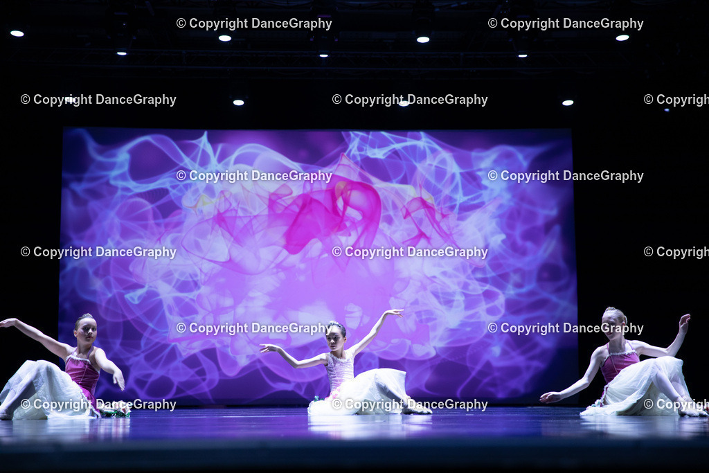 GPHY4807 | DanceGraphy - Realisiert mit Pictrs.com