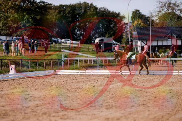 2026_10_03_Siefer-Hof_122025_Z81_20564197 | Professionelle Reitsport-, Turnier- und Eventfotografie von Robert Broda. Galerien mit ausgewählten und bearbeiteten Bildern direkt online ansehen und bestellen.