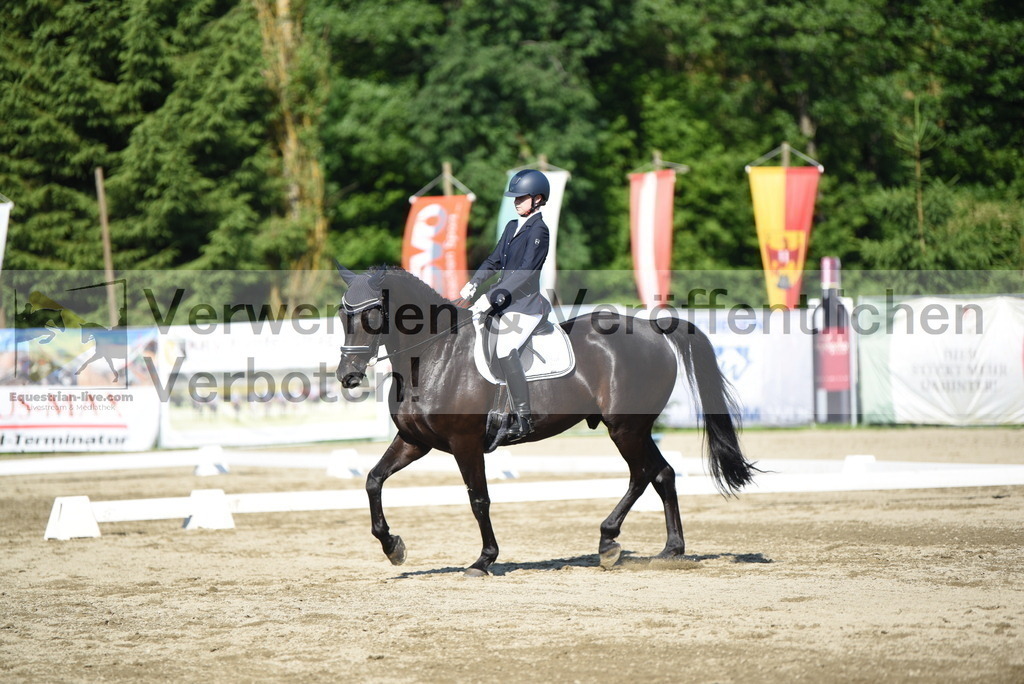 DSC_7236 | equestrian-live-com