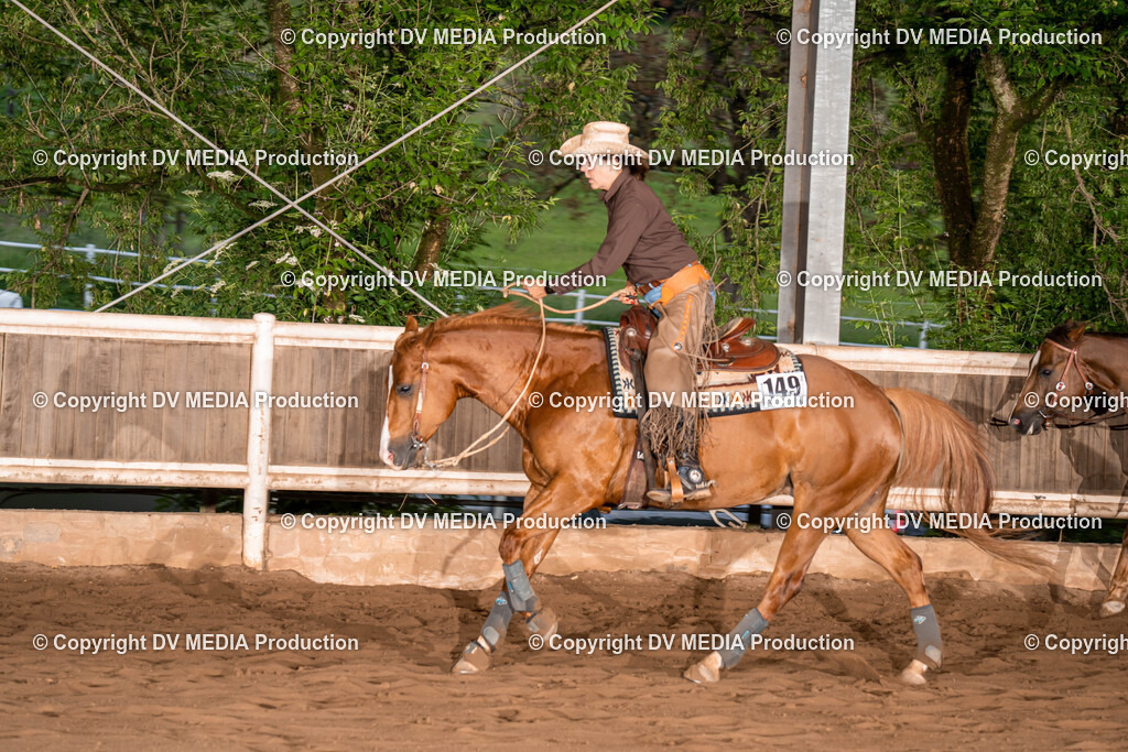 Erbach Tag 1-1127 | dv-media-shop - Realisiert mit Pictrs.com