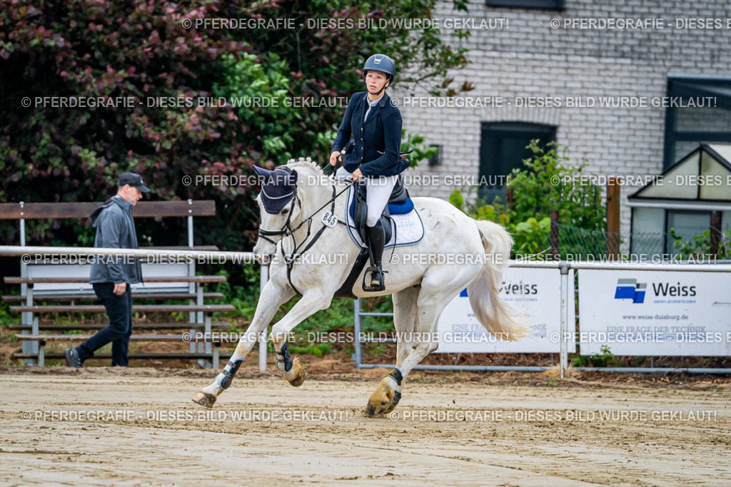 DSC01816 | Pferdegrafie