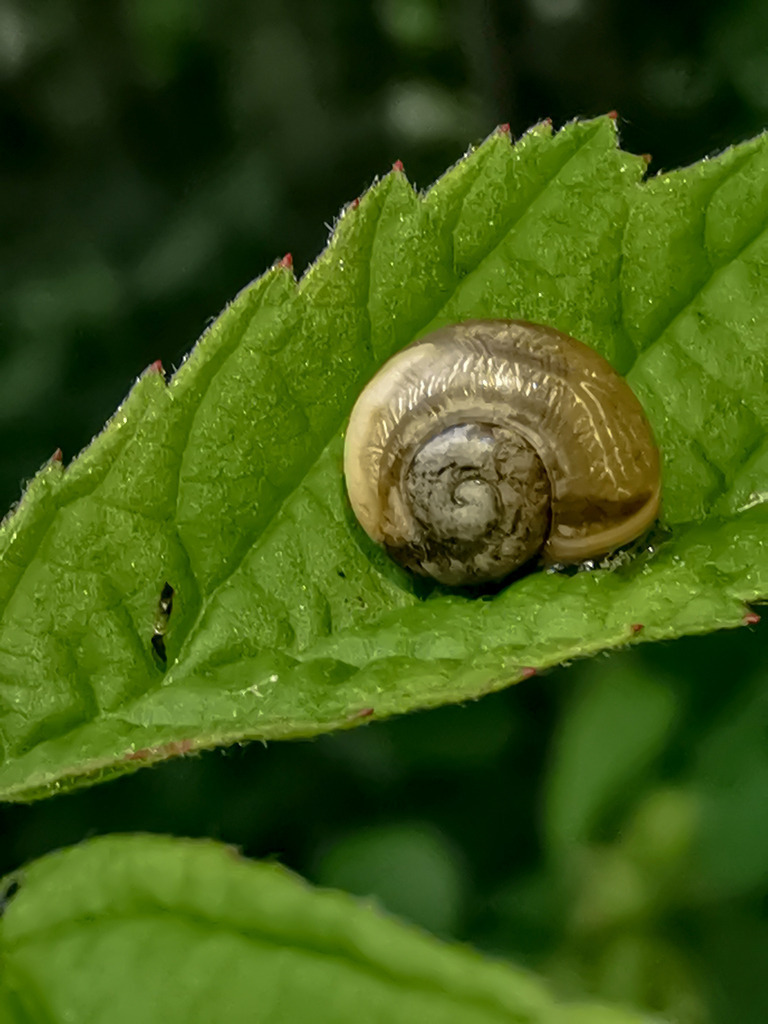 PSX_20230825_224921 | mtkfoto_ - Realisiert mit Pictrs.com