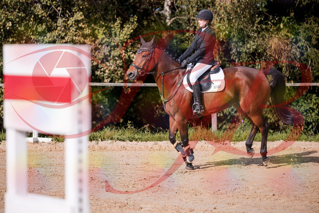 2026_10_03_Siefer-Hof_143529_Z81_04062483 | Professionelle Reitsport-, Turnier- und Eventfotografie von Robert Broda. Galerien mit ausgewählten und bearbeiteten Bildern direkt online ansehen und bestellen.