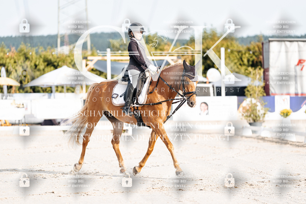 CK903628 | Turnierfotografie Pferdefotografie Trier Rheinland-Pfalz Pferdesport Reitsport Tierfotografie Sportfotografie Pferdevideo Pferdevideografie Equestrianvideography equestrianphotography  - Realisiert mit Pictrs.com