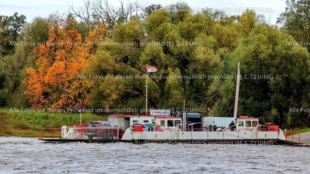 1P5A1565_3 | krollfotografie - Realisiert mit Pictrs.com