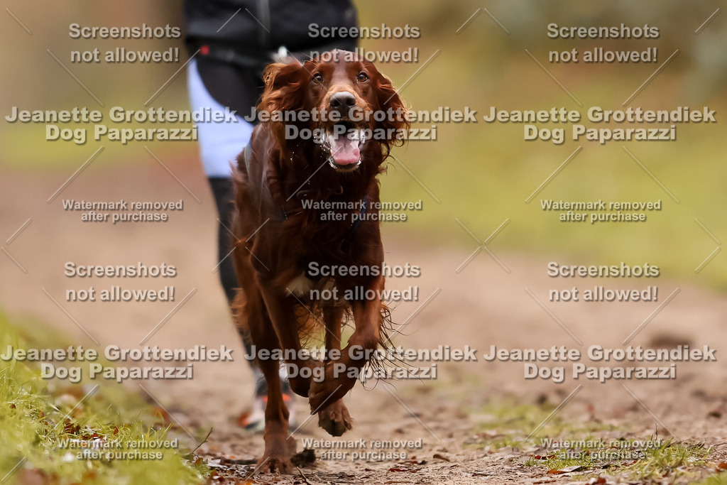 Dog Paparazzi - Speedhunter Mannheim  2025-101 | Dog Paparazzi Jeanette Grottendiek Fotografie & Videografie