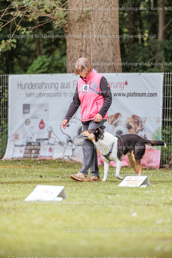 RO-Blumenthal-2026-Nickbest-Hundefotografie-0398 | Dein Hund! Dein Moment! Deine Erinnerungen! Hundefotografie in Bremen Blumenthal. Ich fange die besonderen Momente deines Vierbeiners ein – ob Indoor mit Blitzanlage oder in der freien Natur. Sicher dir dein Moment und dein Termin für eure Erinnerungen.
