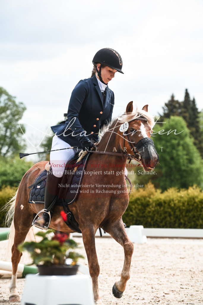 20230518_JK-Röhrsdorf-10-312 | Pferde- und Turnierfotografie in Westsachsen. Pferdeportraits, Auftragszeichnungen und intuitive Kunst.
