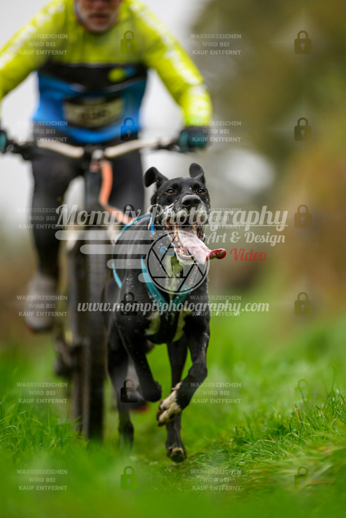 MompixPhotography_20TSB_E8_Bike-100 | PayLife