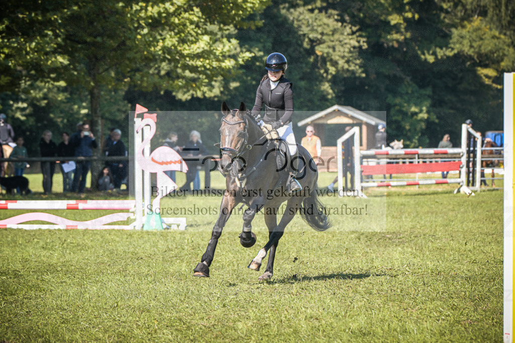 DOS_0859 | Entdecke hochwertige Reitturnierfotos von Foto Oger. Professionell, emotional und authentisch – jetzt Lieblingsmomente im Shop bestellen.Deutschlandweite Turnierfotografie. - Realisiert mit Pictrs.com