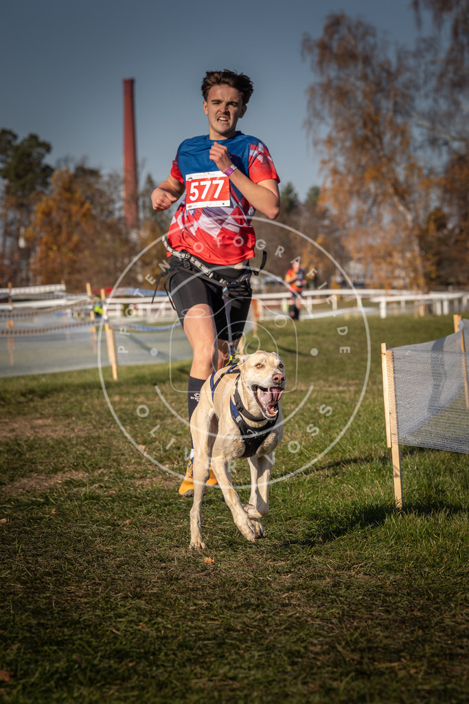 CaniXpix_0L8A8121 | Hundefotografie, Tierfotograf, Pfotenfotografie, Fotoshooting Hund, Hunde Portrait, Hundesport, Hundeportraits, Heideshooting, Hunde, Sportfotograf, Hundefotograf, Turnierhundsport, THS,  - Realisiert mit Pictrs.com